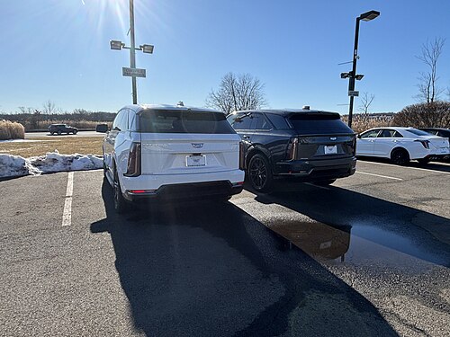 White and Black Escalade IQs