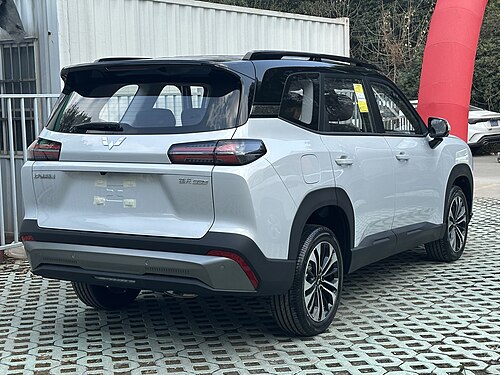 Rear view